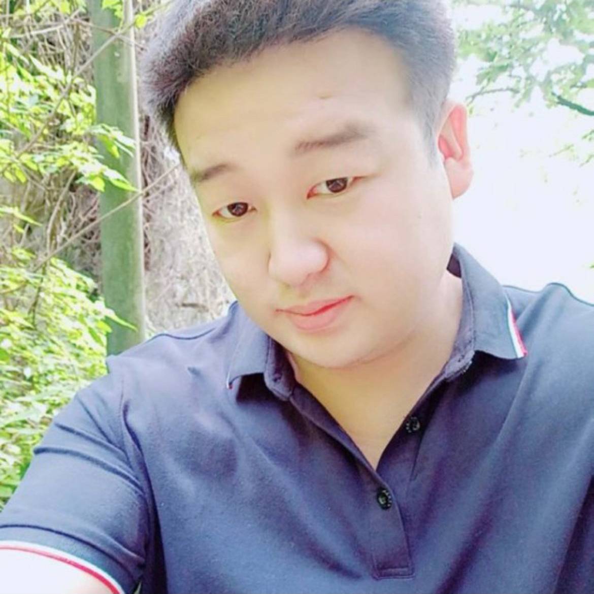 猫咪的傻傻的照片