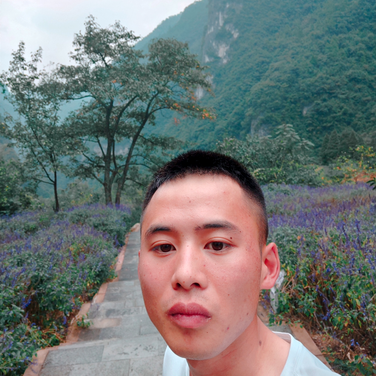 直到世界尽頭的照片