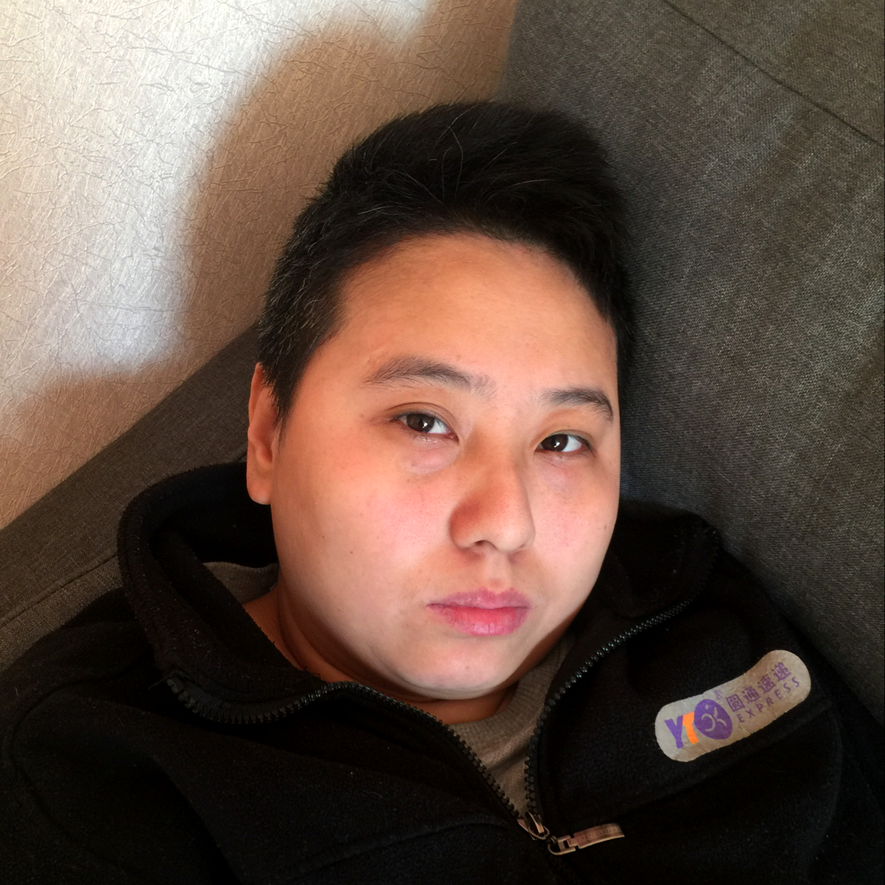 小鸽子爱恋自然的照片