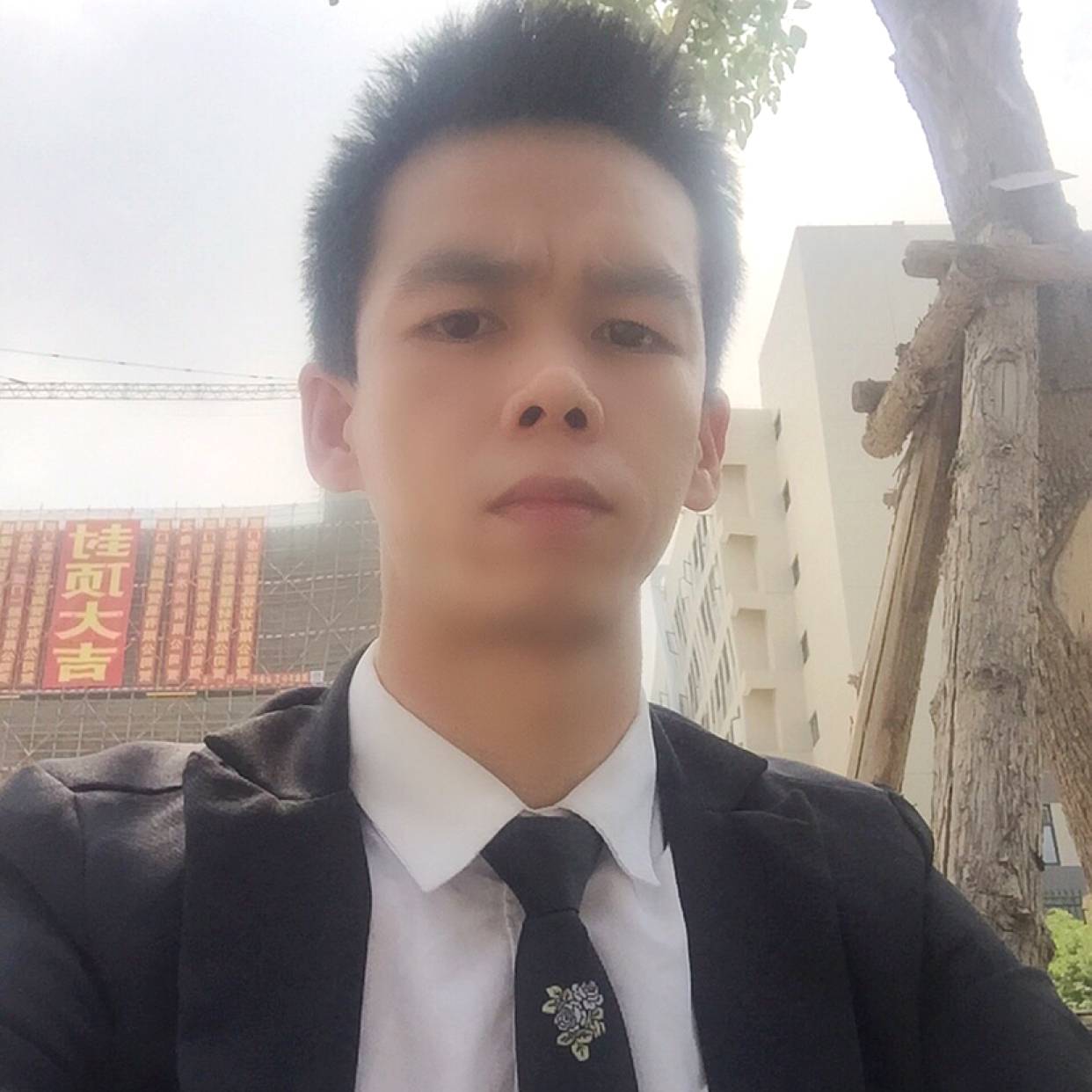 杨洋528的照片