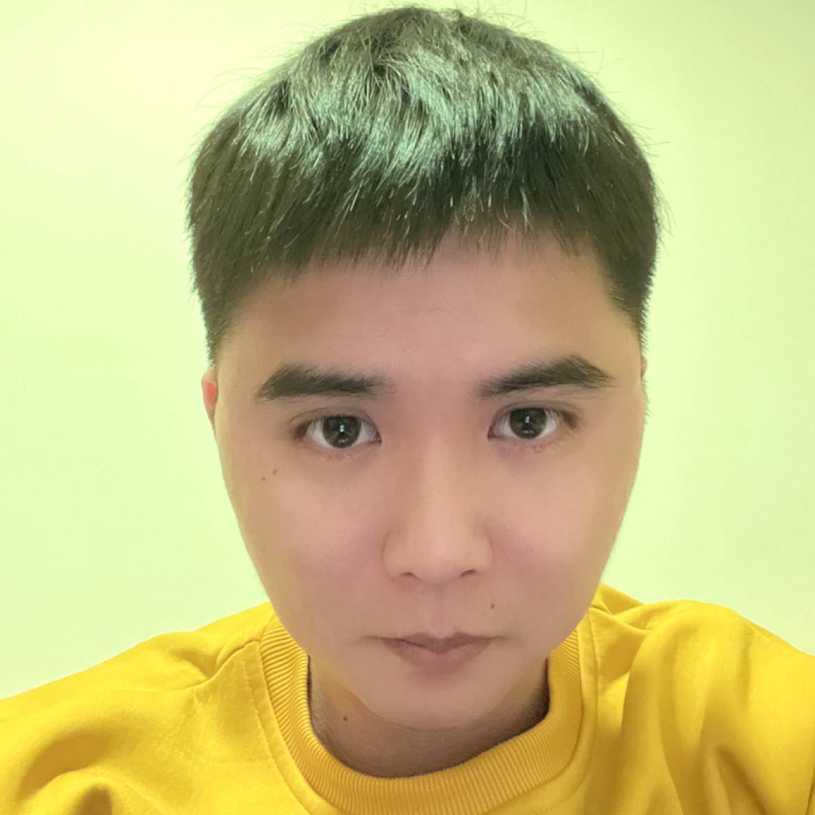 诚心扯寒风的照片
