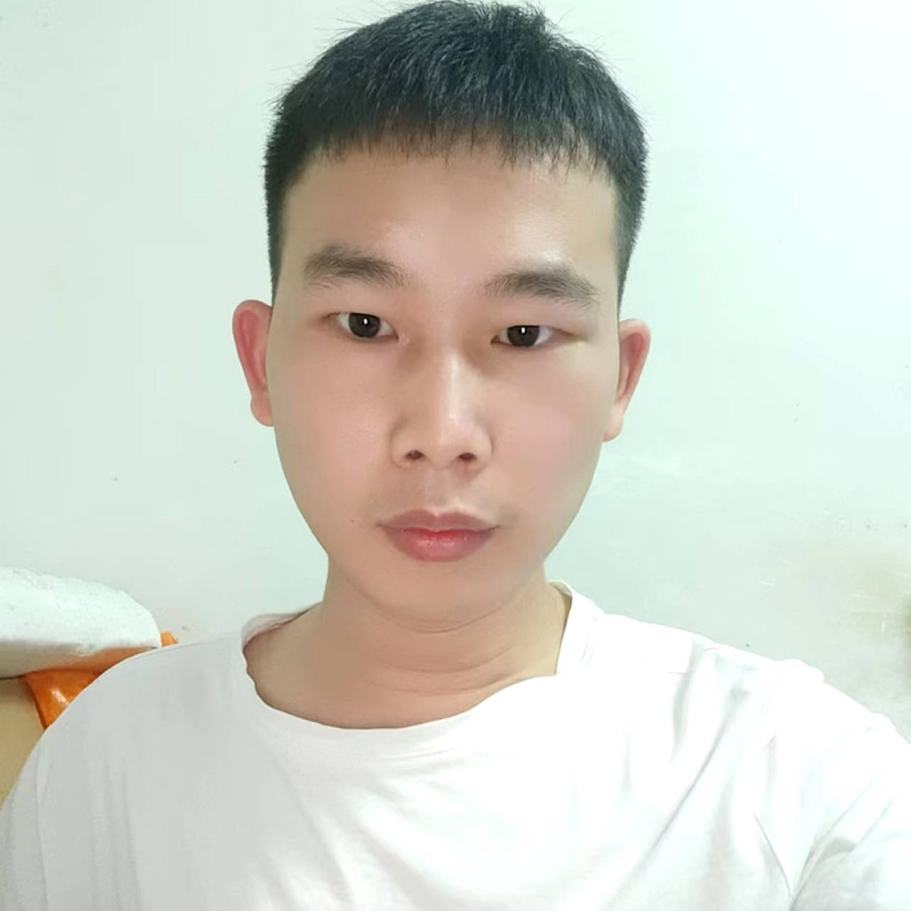 小蝴蝶深拥迷路的照片
