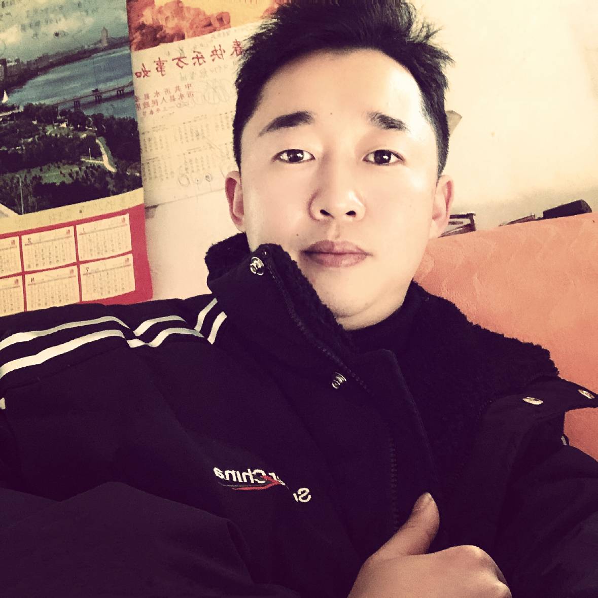 渴鹿的照片