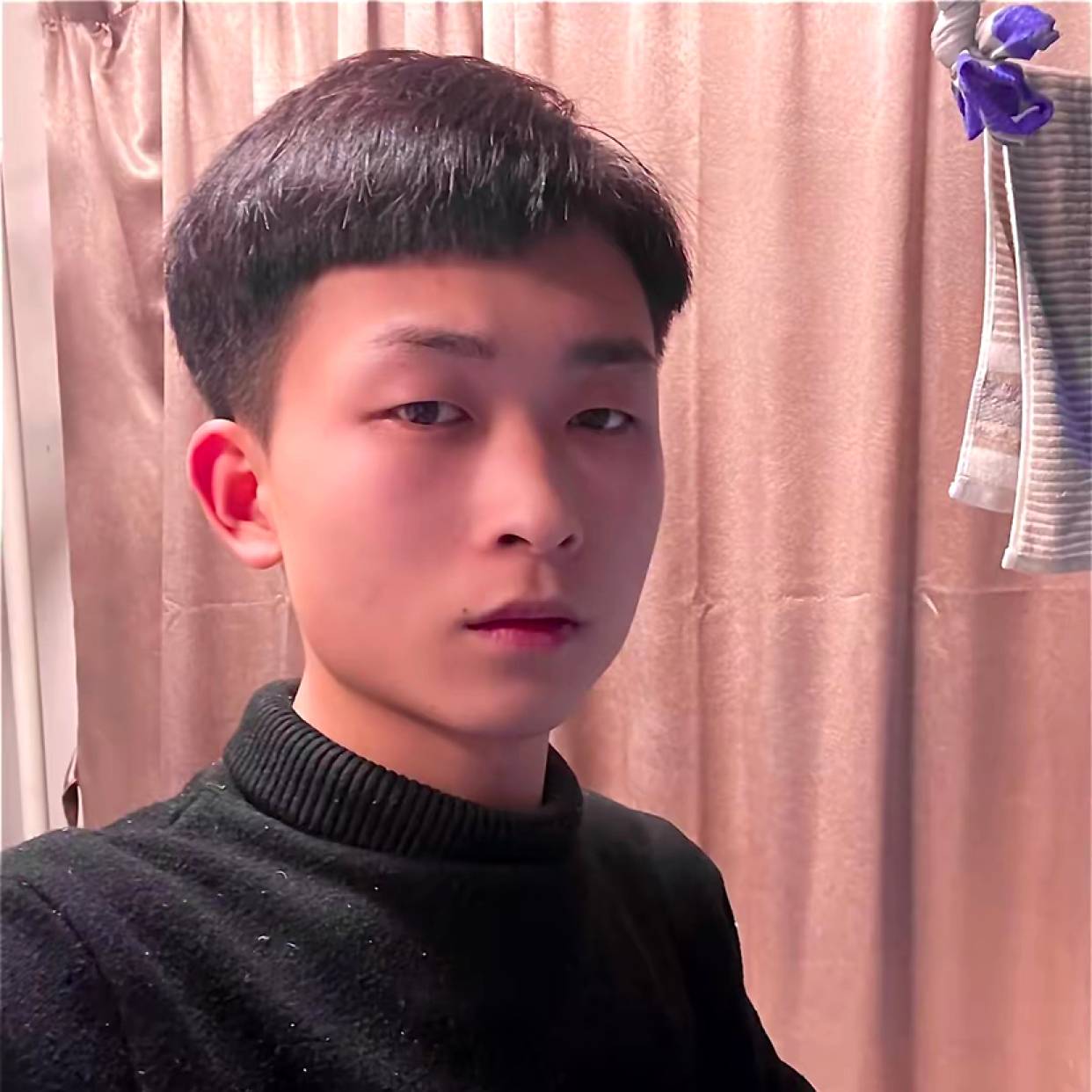 金鱼的纯情的照片