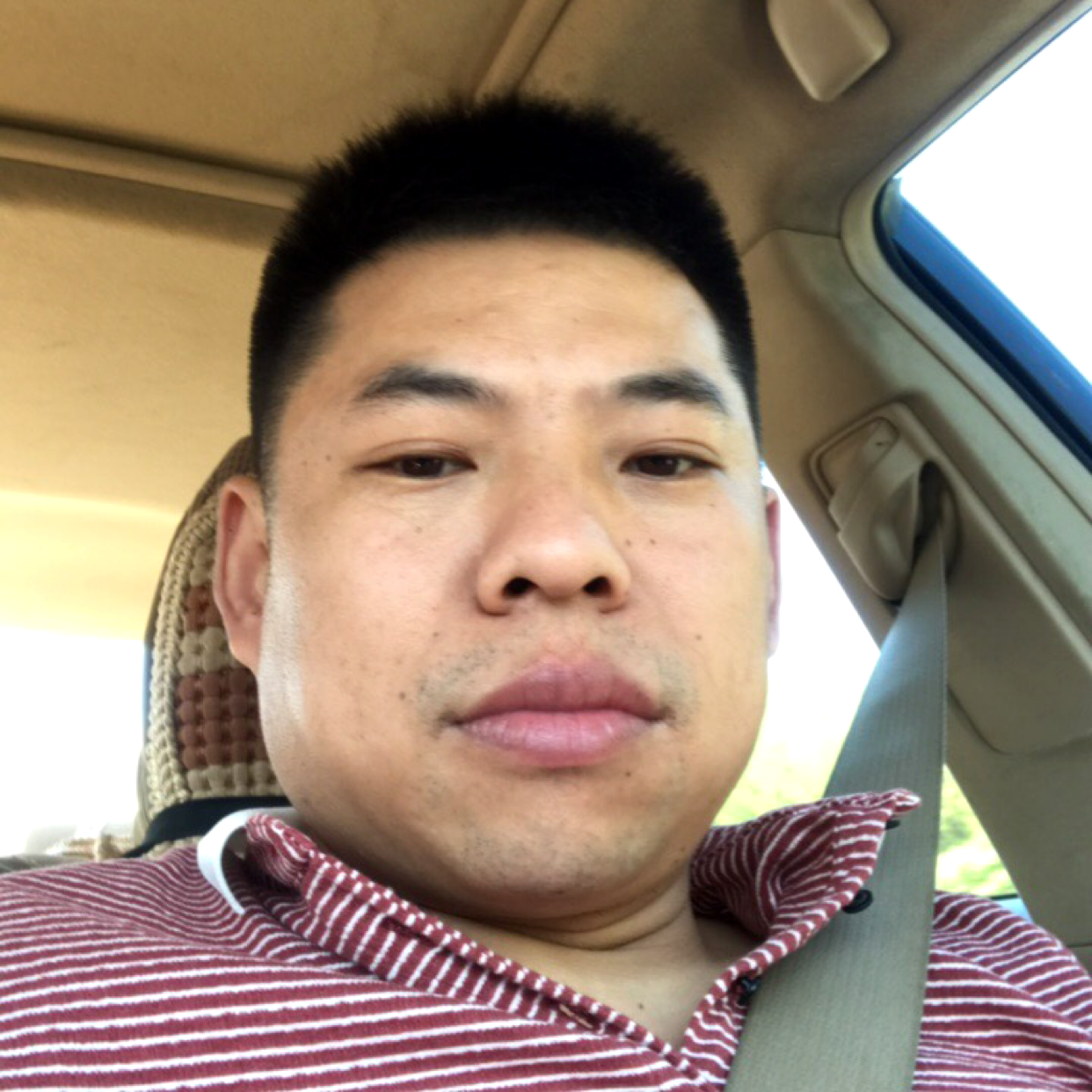 过时的绿草的照片