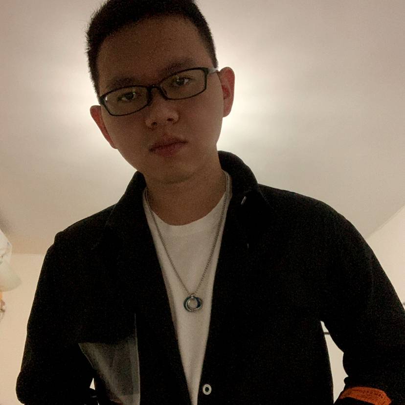 毛驴不会飞的照片
