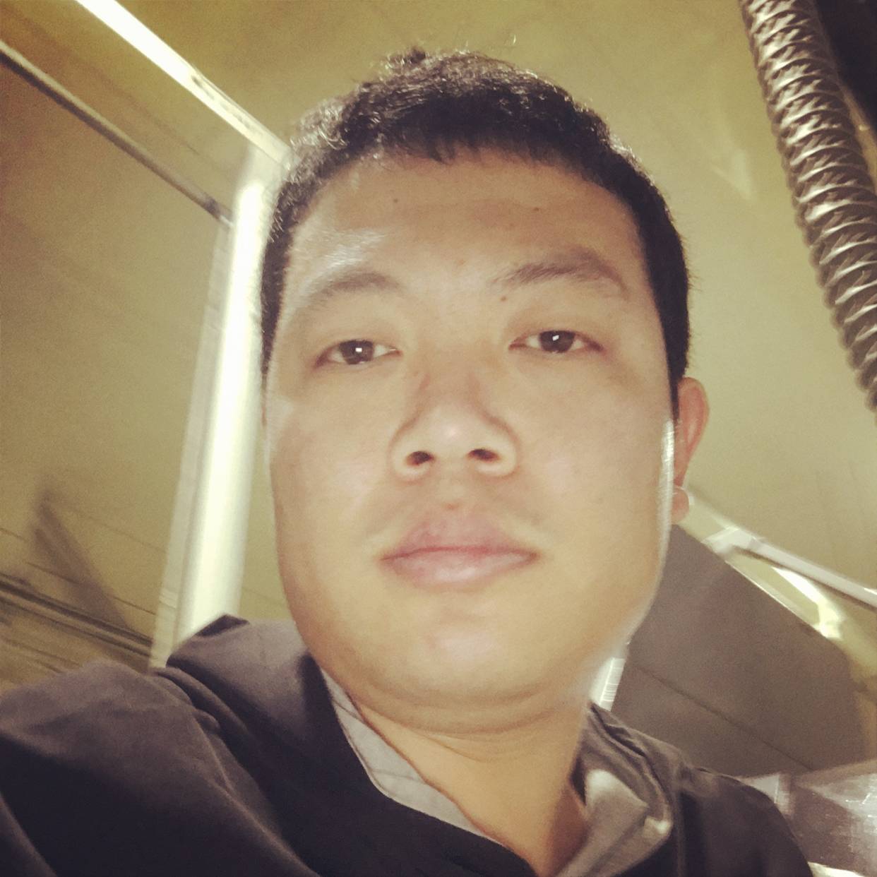 斯坦伯格的照片