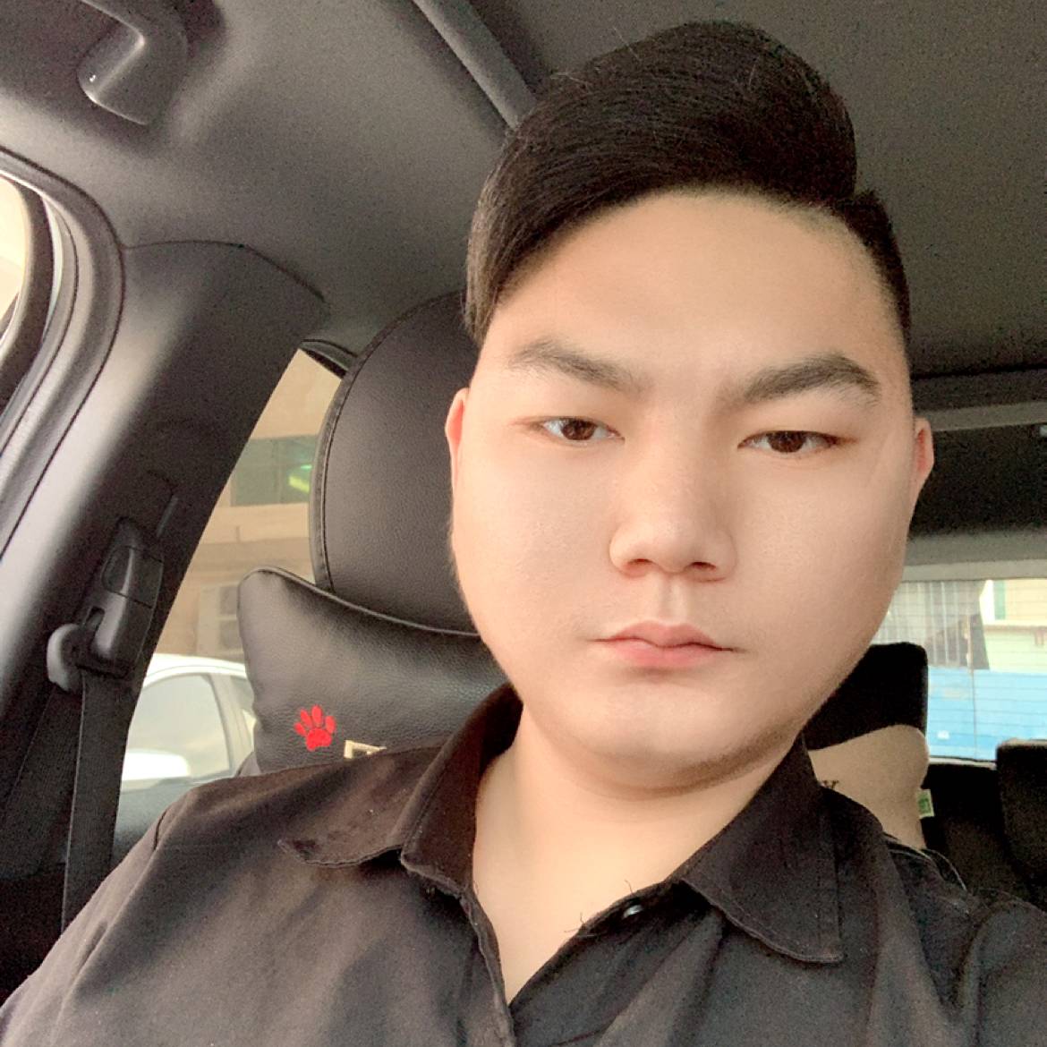 泥猴桃1的照片