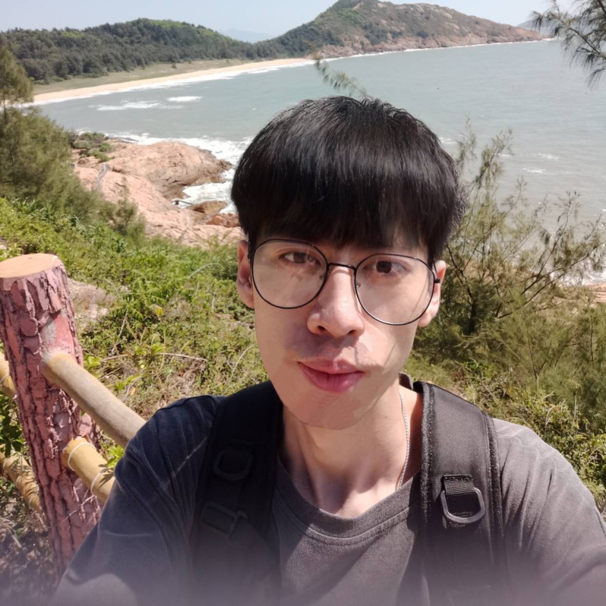 发量小王纸的照片