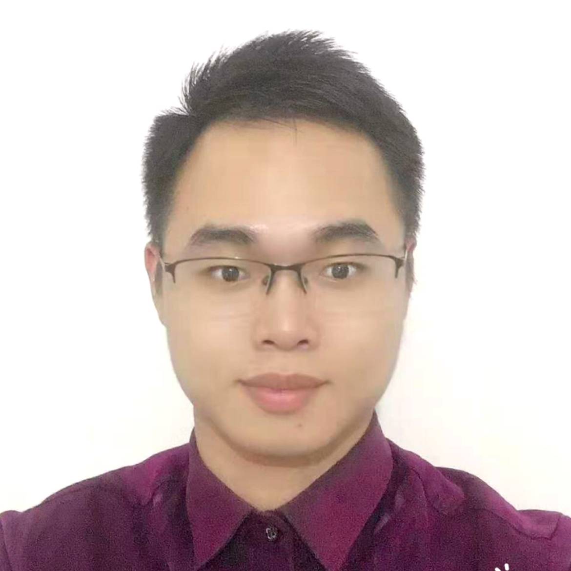 无语相许小海豚的照片