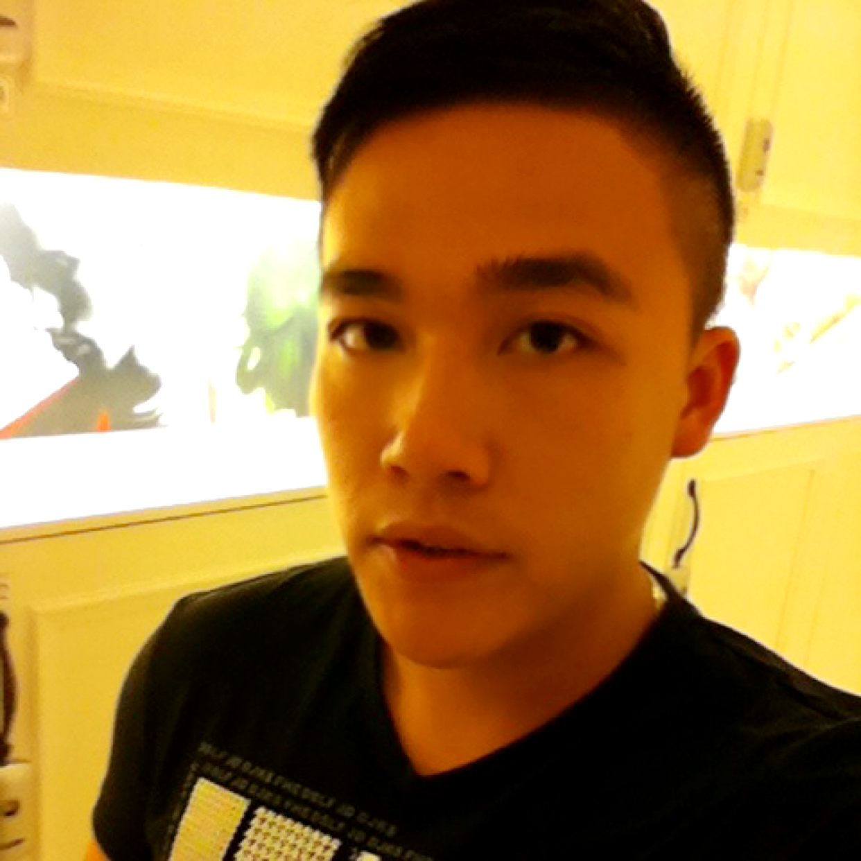 黑曼巴24的照片