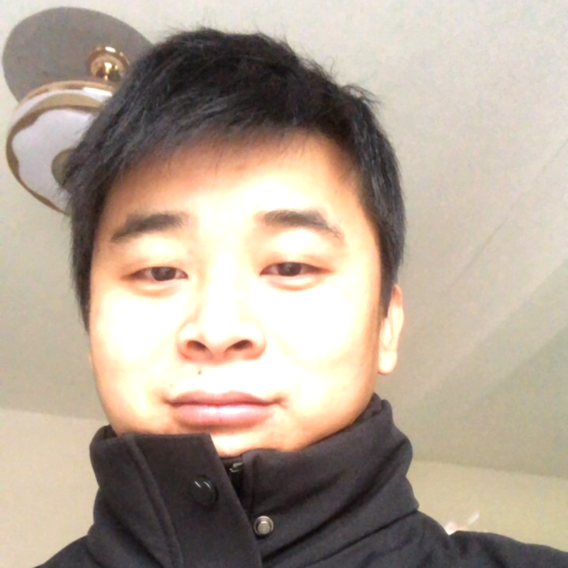 孤心演变翩飞的照片