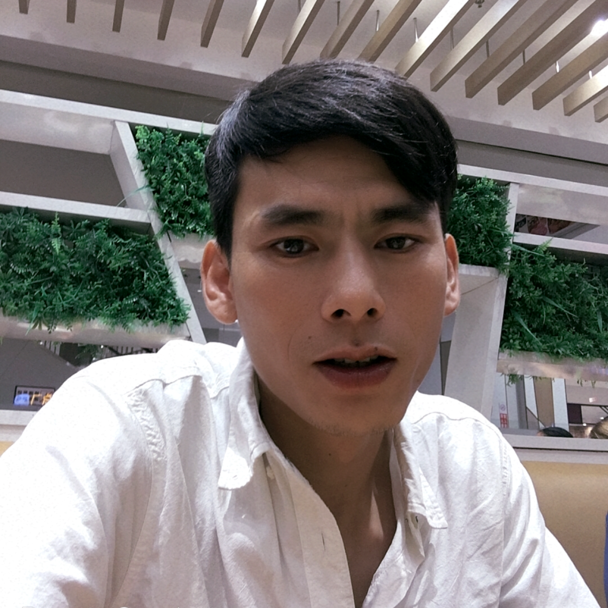 斑马单身的照片