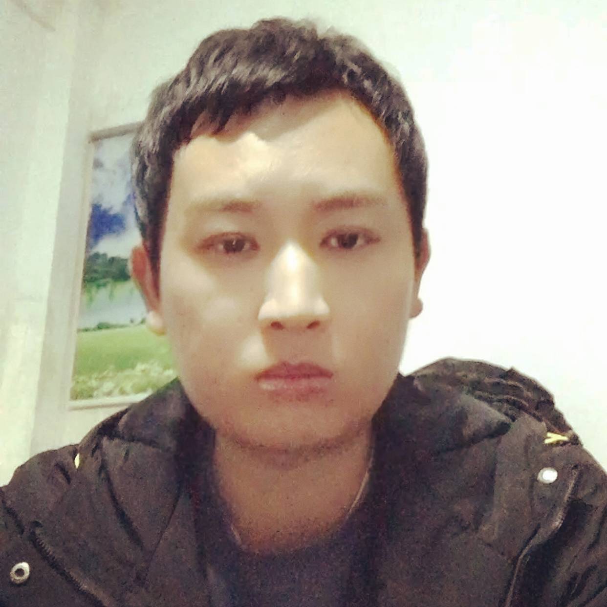 枸杞红枣的照片