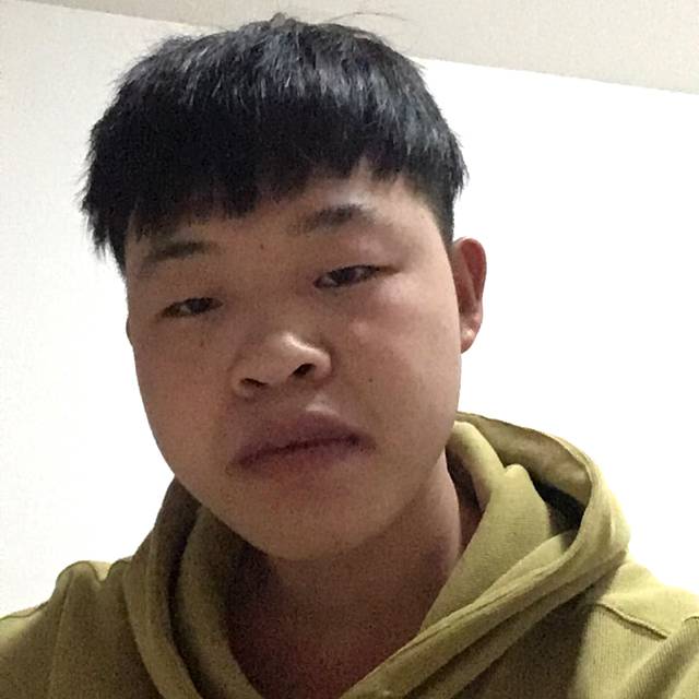 灰狼有暴躁的照片