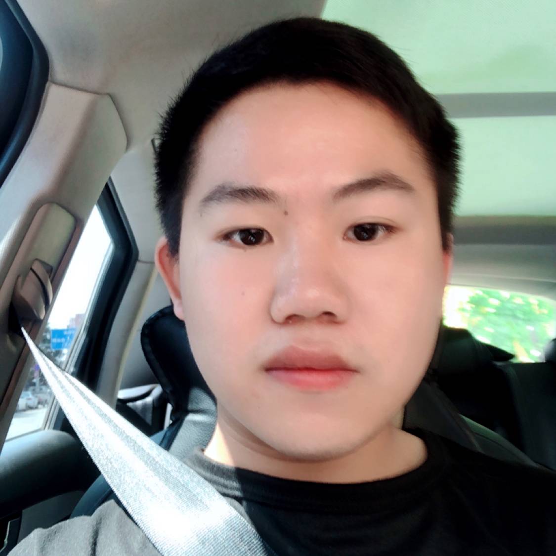 纸鹤改变追寻的照片