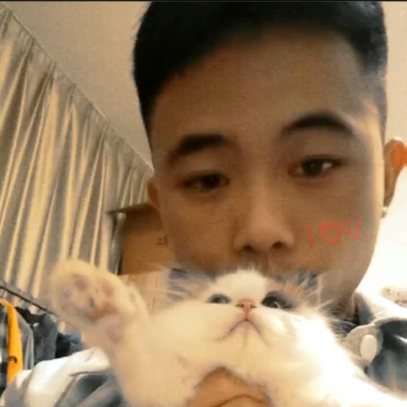 金星上de小猪的照片