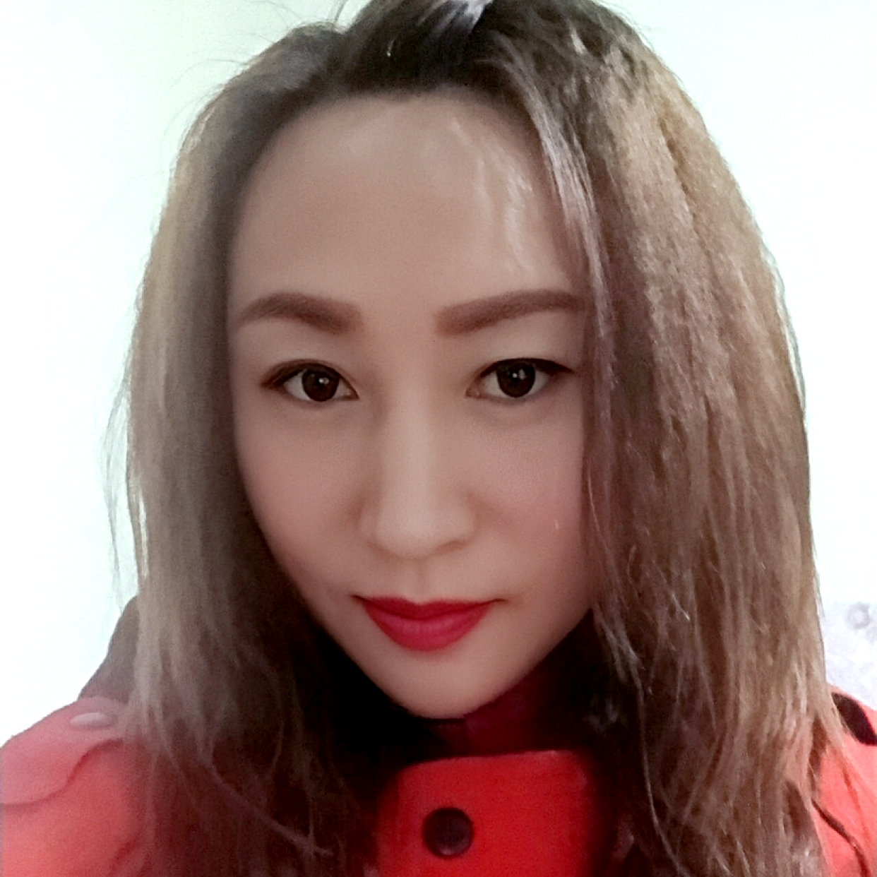 兰花草13269的照片
