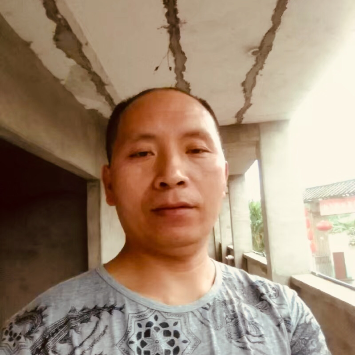 执着凝眸羽毛的照片