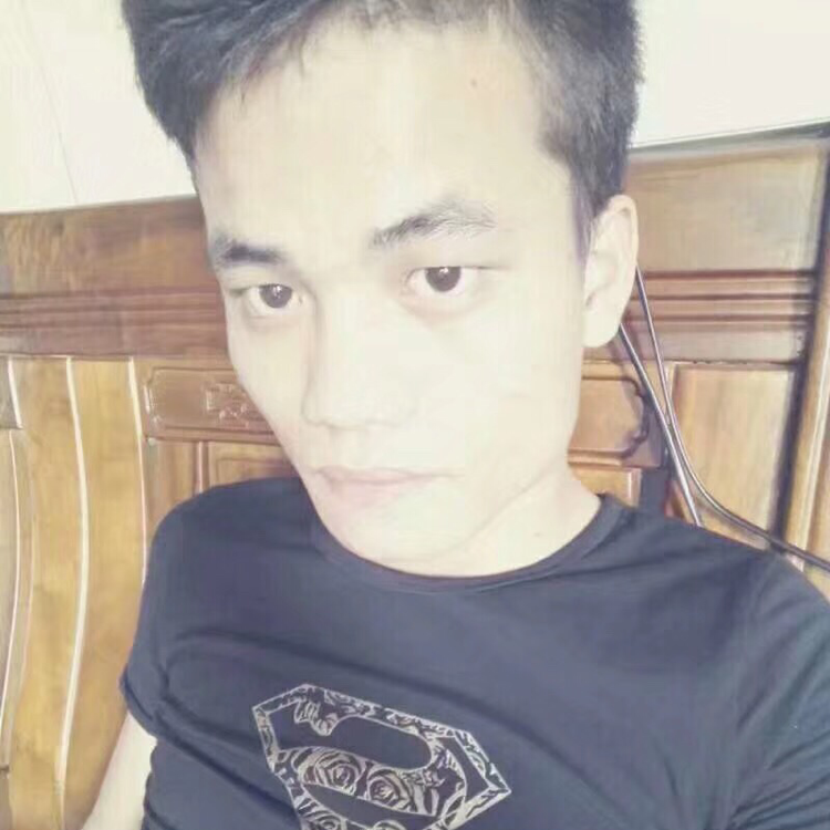 残缺的树叶的照片