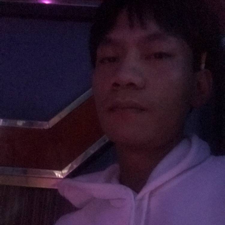 苹果挽手鸭子的照片