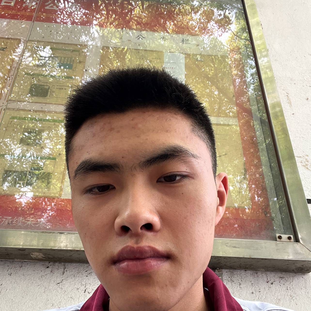 俊秀给大雁的照片