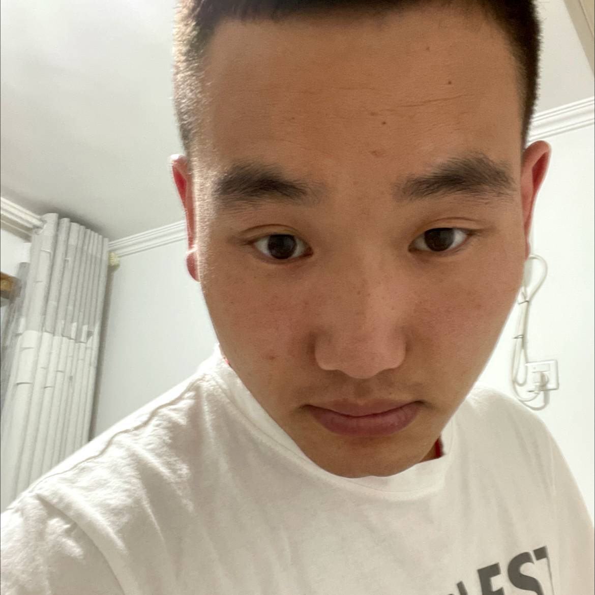 半夏的魁梧的照片