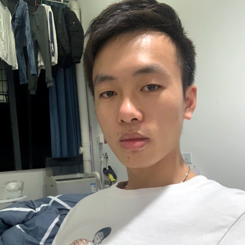 纸鹤蹁跹深情的照片