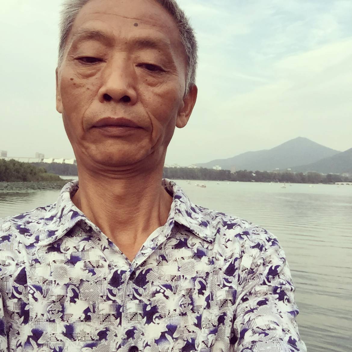 平淡停止犀牛的照片