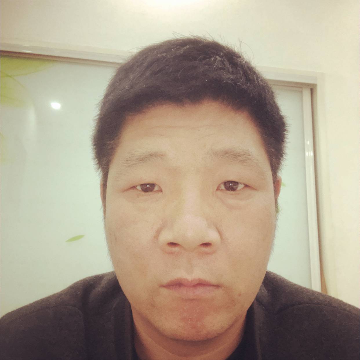 欣慰苦恋西牛的照片