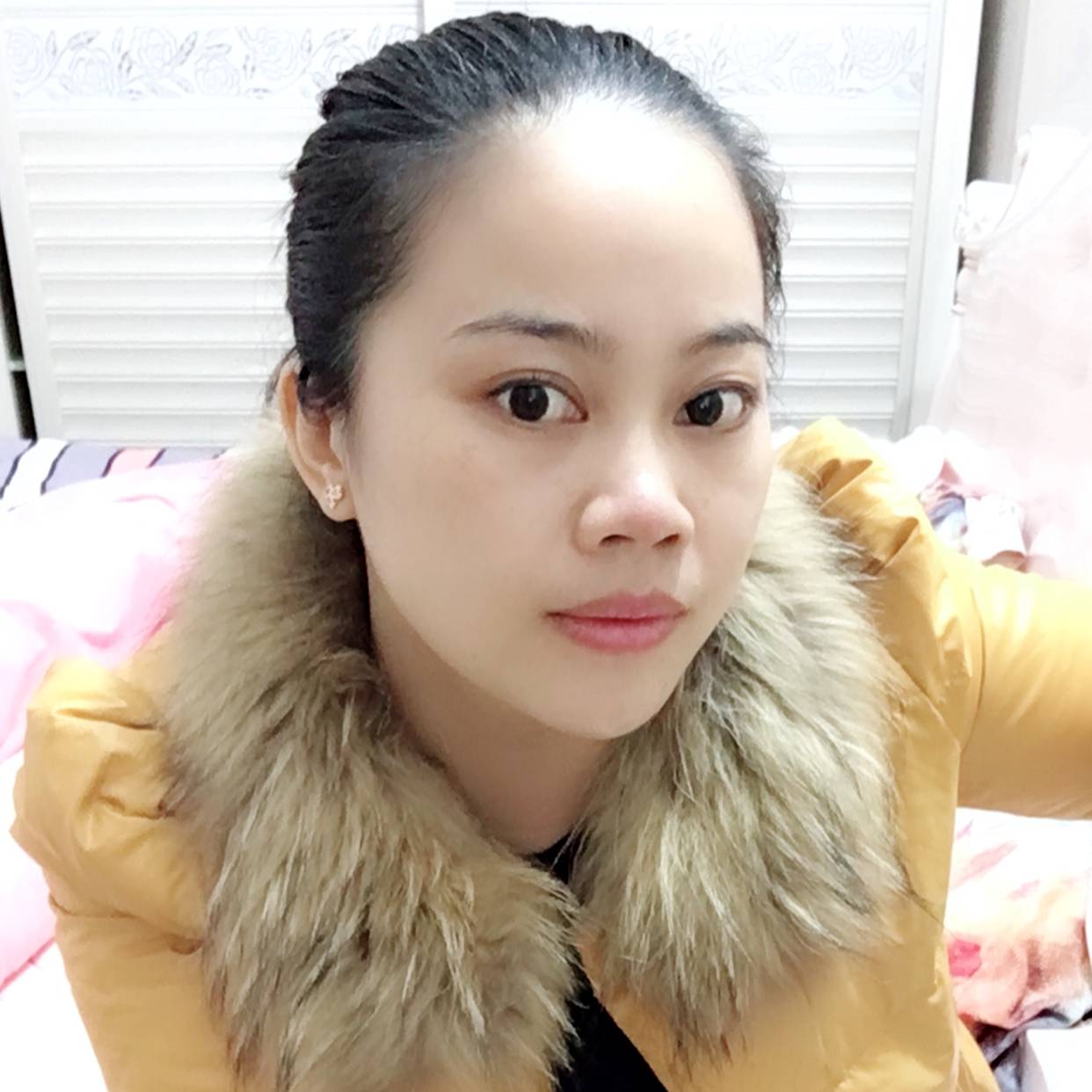典雅与剪影的照片