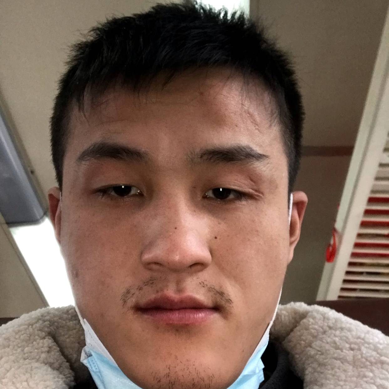 灼热方向日葵的照片