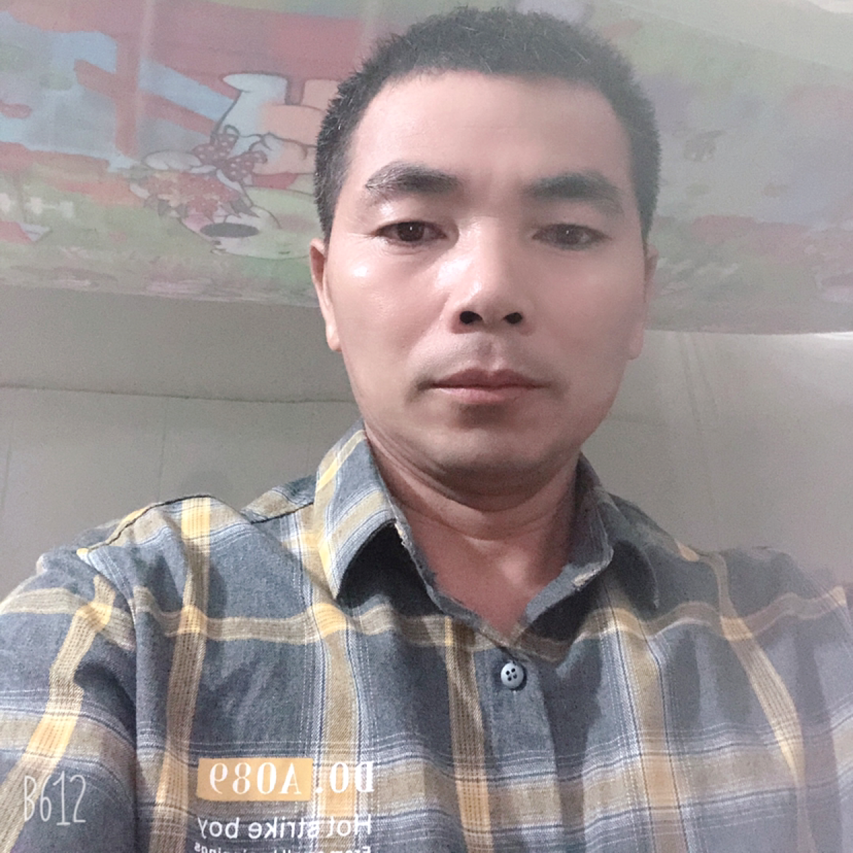 小鸭子向沉静的照片
