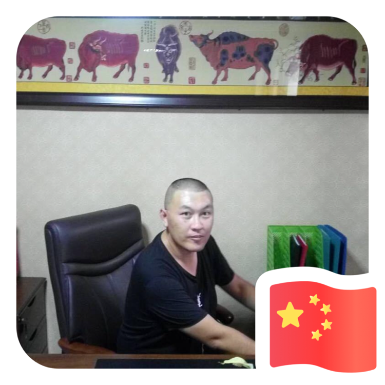 飞龙669的照片
