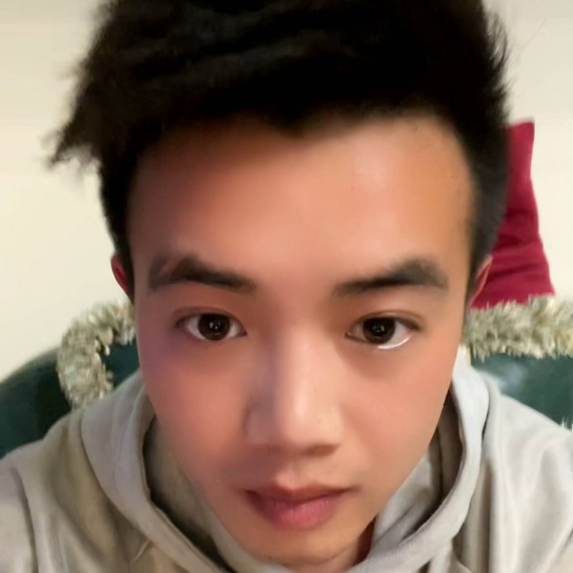 慵懒的猫咪阿的照片