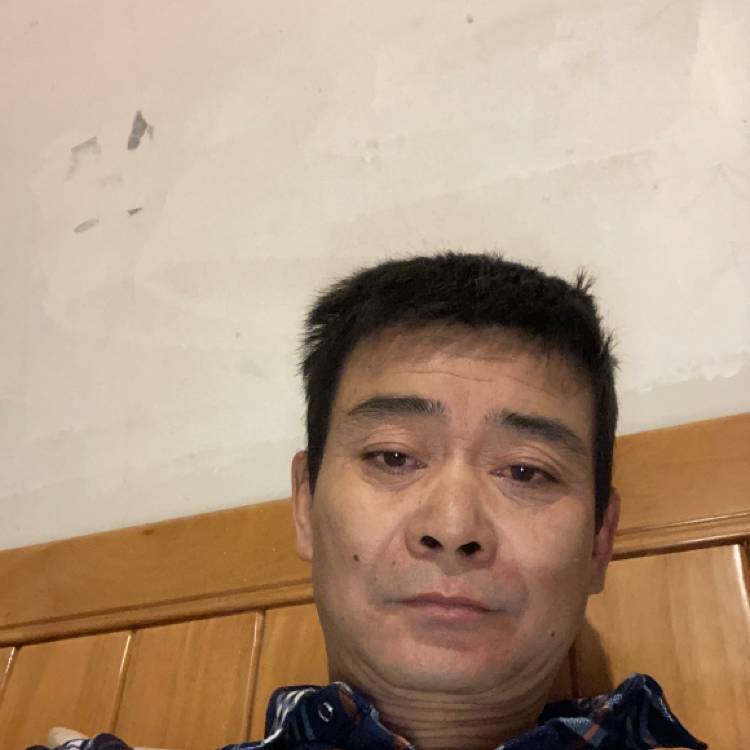 心 静,忧伤,的照片