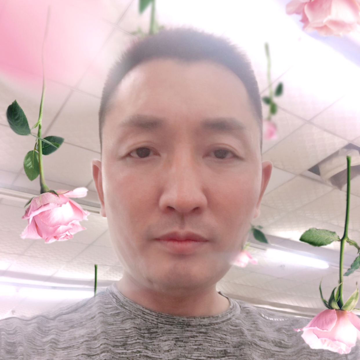 老虎甜蜜的照片
