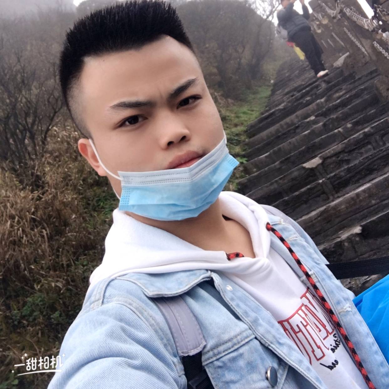 贵州,小泰迪的照片