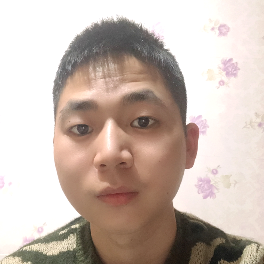 心灵美用小蚂蚁的照片