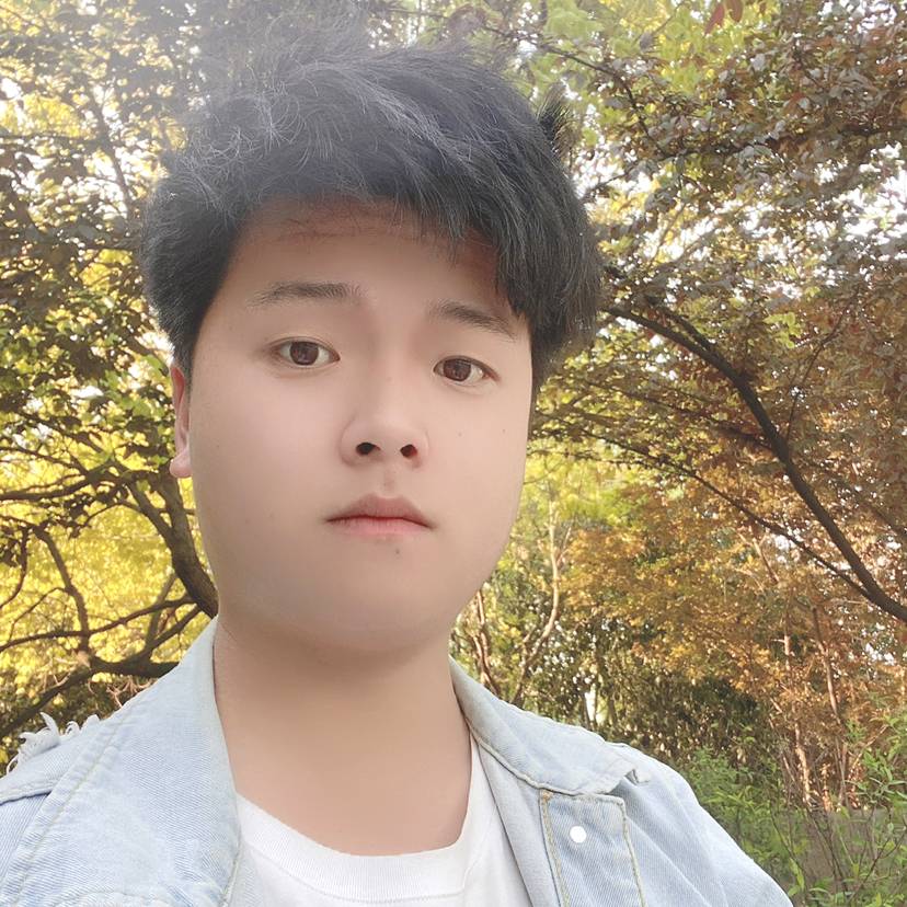 会飞的鱼.的照片