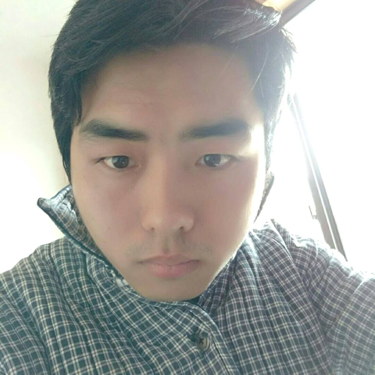 上总介罗伊的照片