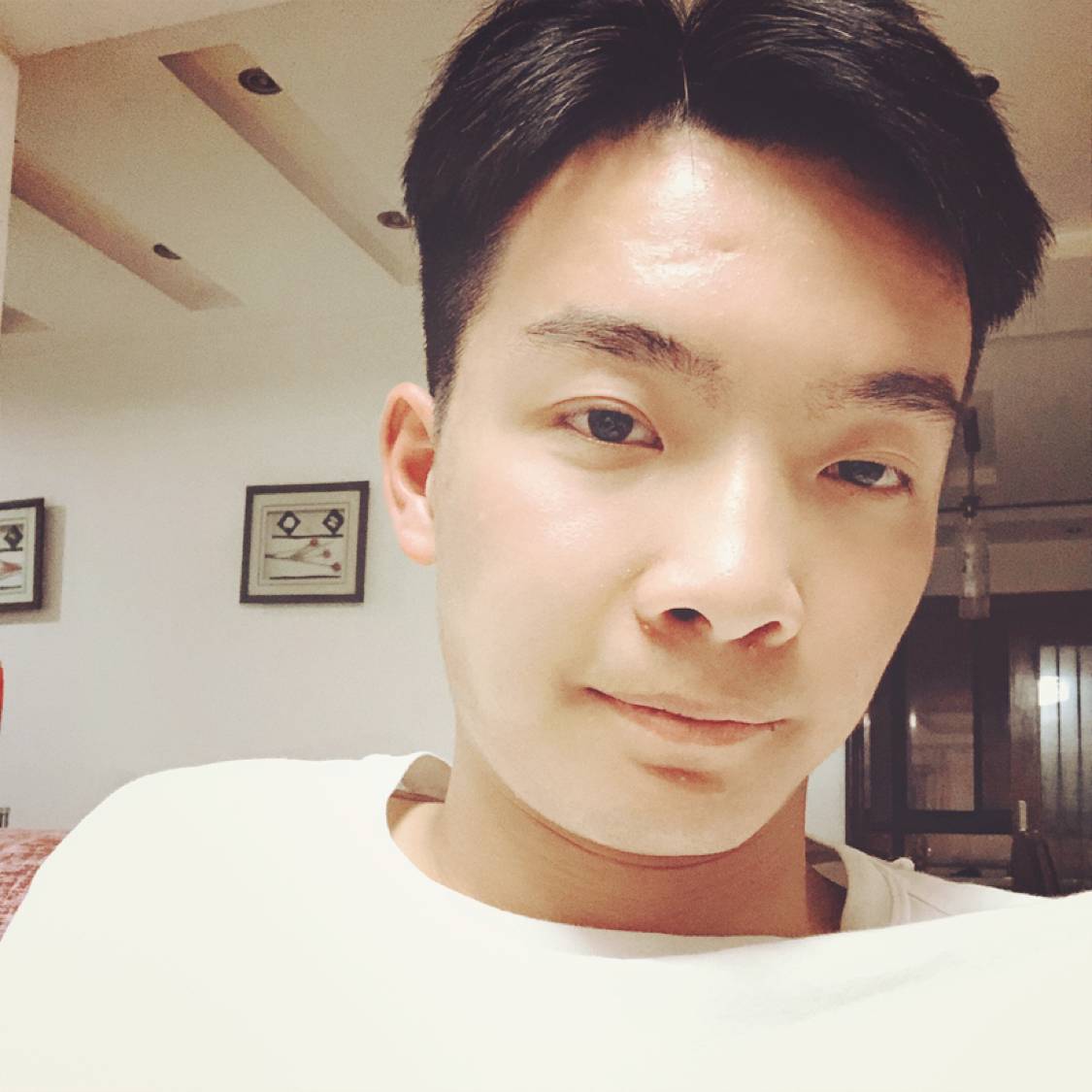 兔子的照片