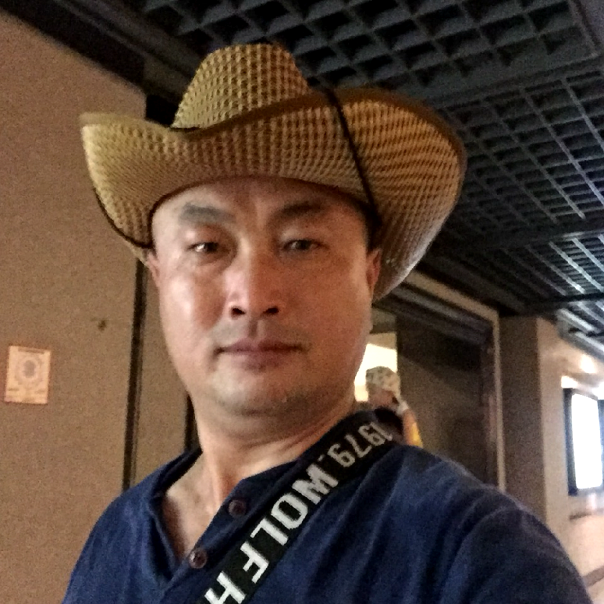 野性吃醋灰狼的照片