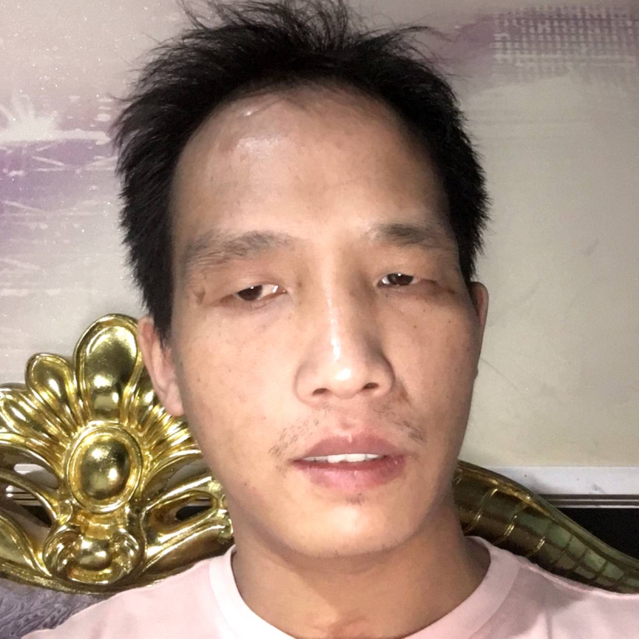 简单易学的照片