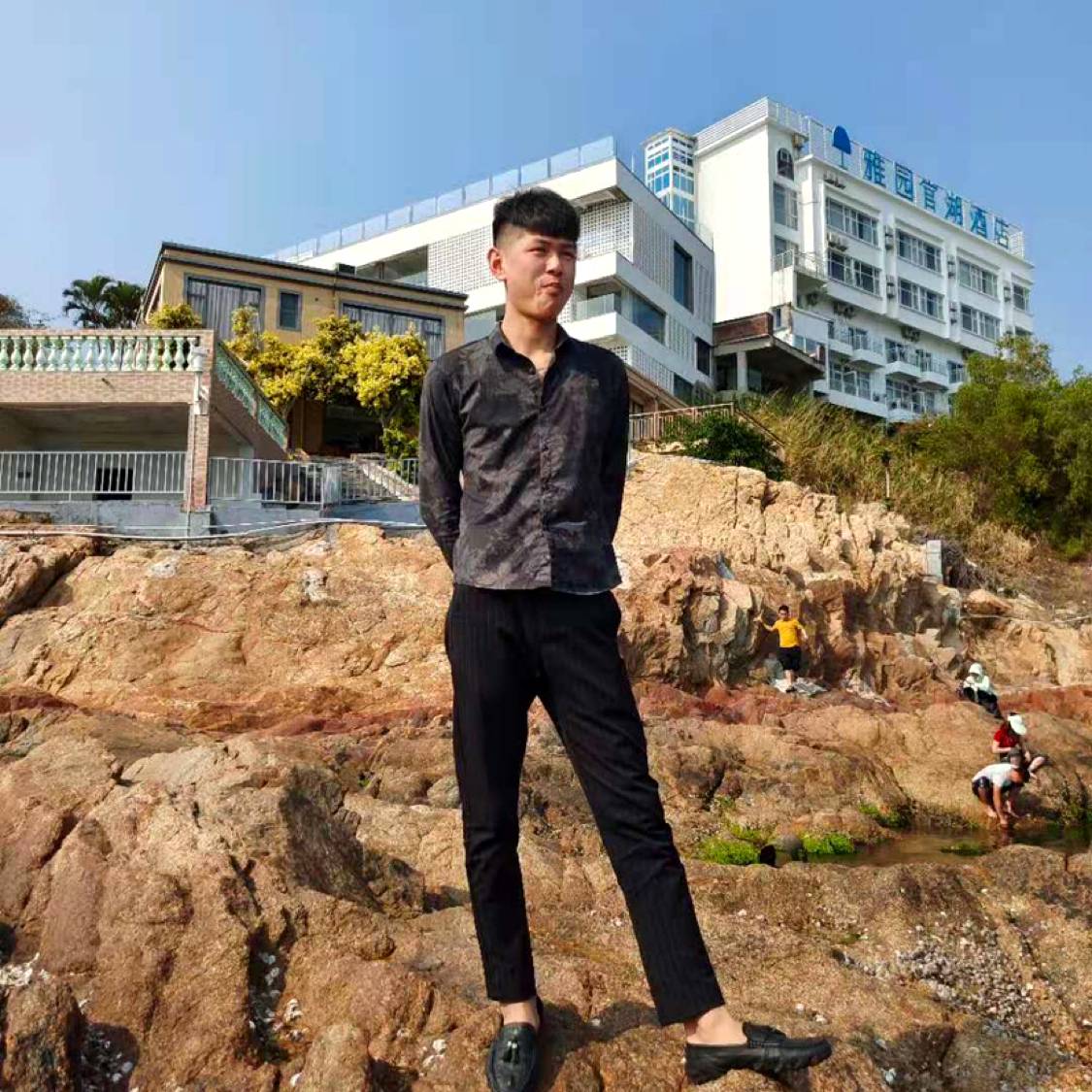 落寂爱树叶的照片