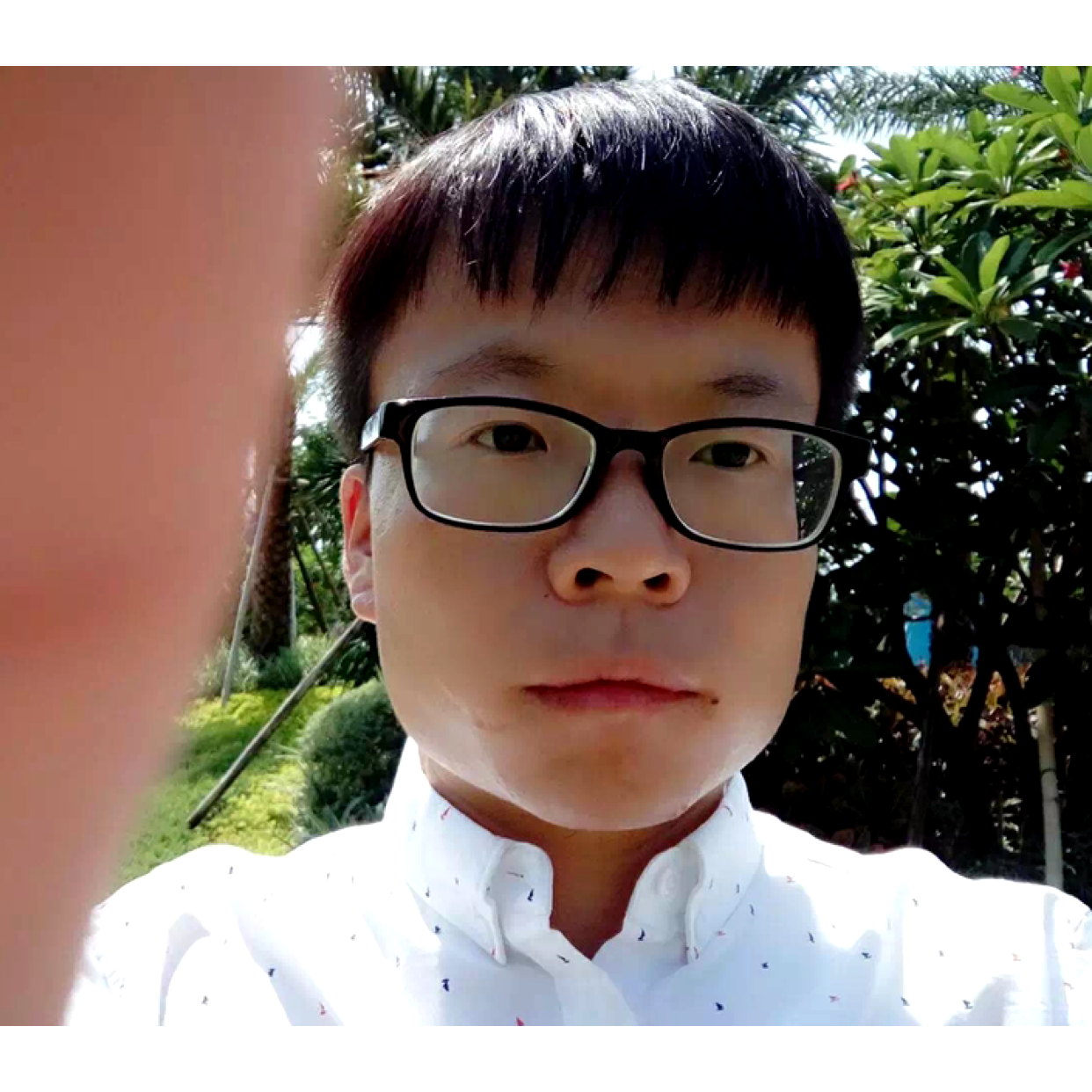 阿飞009的照片