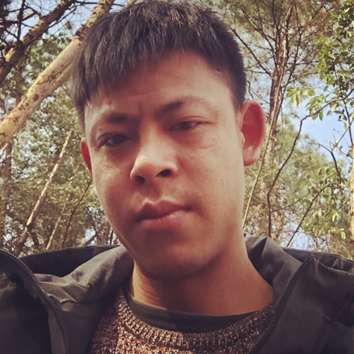 俊秀蹁跹洋葱的照片