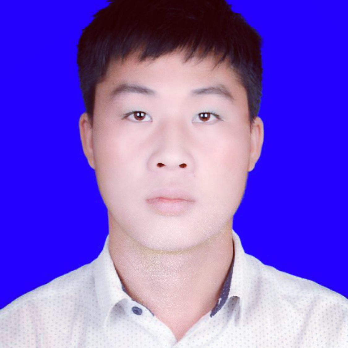 鲁班七号,的照片