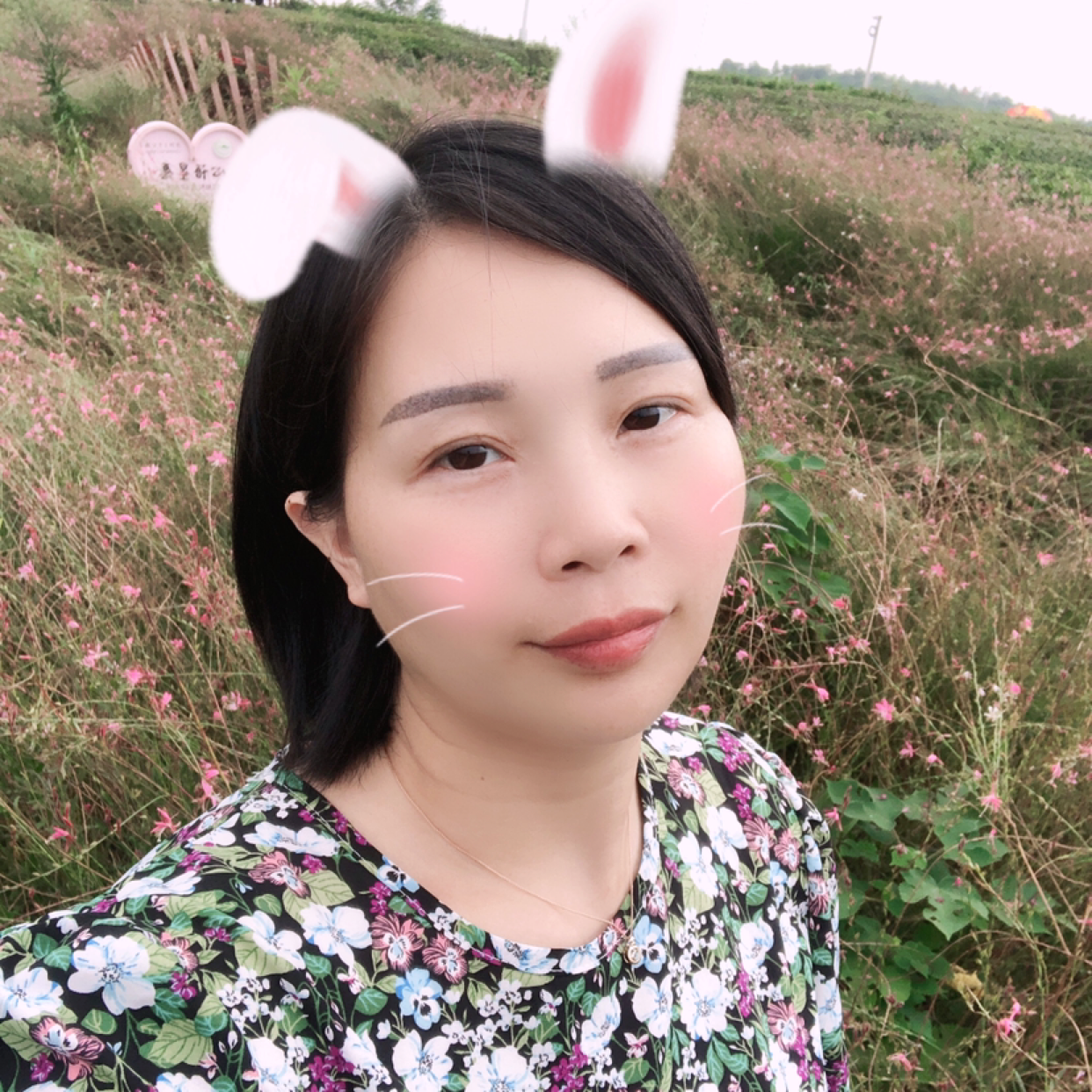 沉默的丹的照片