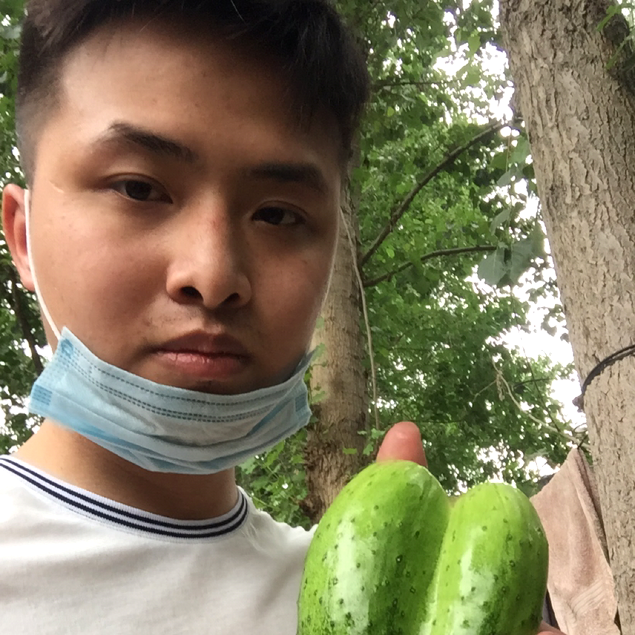 尾随的思念的照片